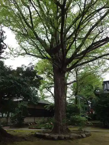 長崎神社の自然