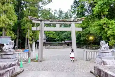 多賀大社の鳥居