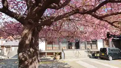 真乗寺の本殿・本堂