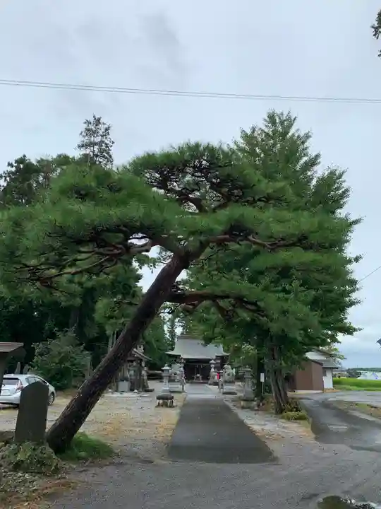 近津神社のその他建物