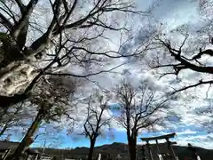 白鳥神社(長野県)