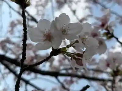 西方山極楽寺(岐阜県)