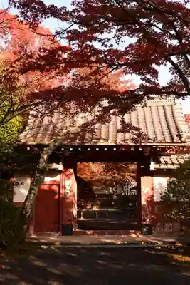 常照寺(京都府)
