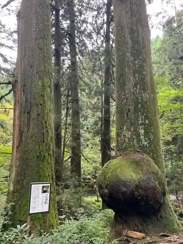 花園神社(茨城県)