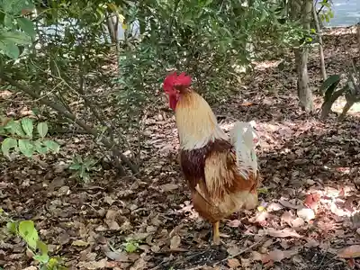 熱田神宮(愛知県)