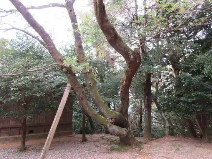 天石門別八倉比売神社(徳島県)