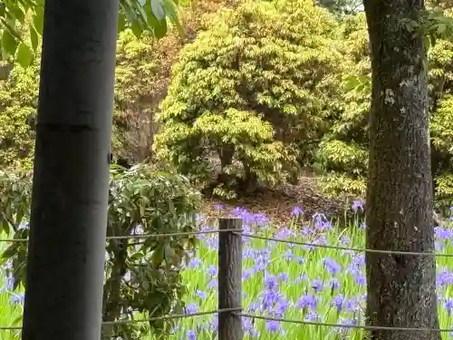 大田神社（賀茂別雷神社境外摂社）の{uncategorized: "未分類", other: "その他", undefined: "問題あり", building: "その他建物", grave: "お墓", sacred_gate: "鳥居", guardian: "狛犬", statue: "像", buddha: "仏像", history: "歴史", nature: "自然", garden: "庭園", animal: "動物", pagoda: "塔", temizu: "手水舎", mountain_gate: "山門・神門", sanctuary: "本殿・本堂", subordinate: "末社・摂社", art: "芸術", scenery: "景色", jizo: "地蔵", ema: "絵馬", goshuin: "御朱印", omikuji: "おみくじ", items: "授与品その他", amulet: "お守り", goshuincho: "御朱印帳", eats: "食事", festival: "お祭り", votive_dance: "神楽", shichigosan: "七五三参", wedding: "結婚式", experience: "体験その他", initially: "初詣", around: "周辺", anti_infection: "感染症対策"}