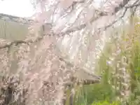 刺田比古神社(和歌山県)