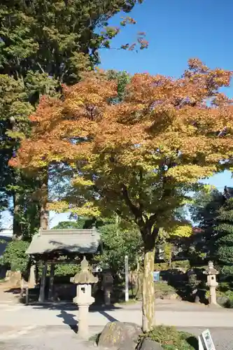 蓮花院の手水