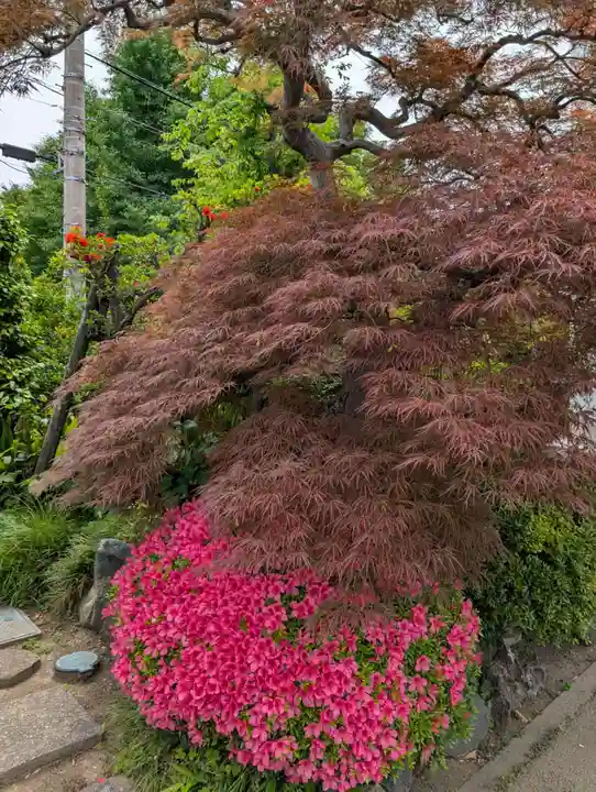 真言宗智山派金澤山福泉寺圓能院(神奈川県)