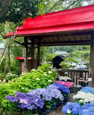 極楽寺(静岡県)