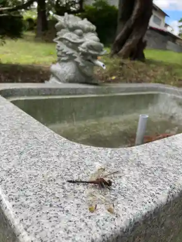 宇倍神社の動物