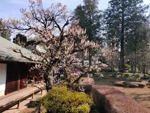 喜多院(埼玉県)