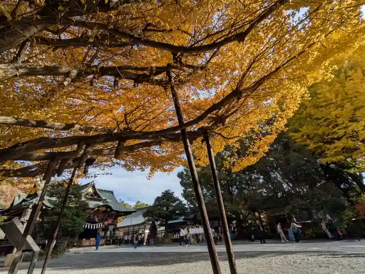 秩父神社(埼玉県)