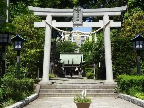 星川杉山神社の鳥居