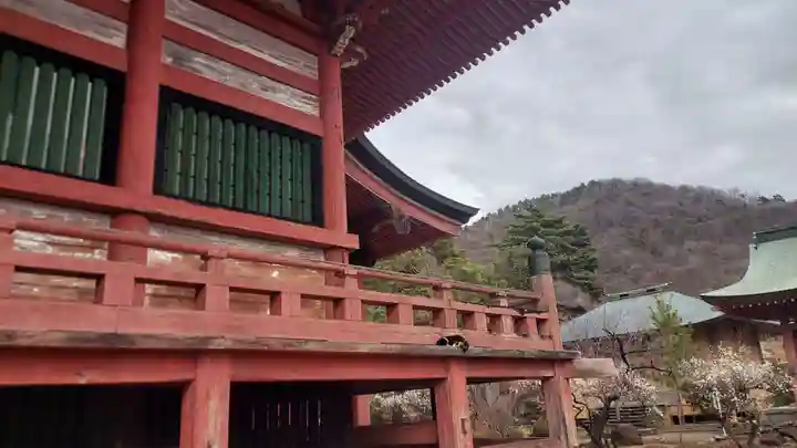 甲斐善光寺(山梨県)