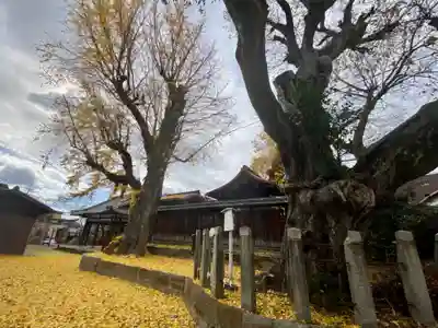宇賀神社のその他建物