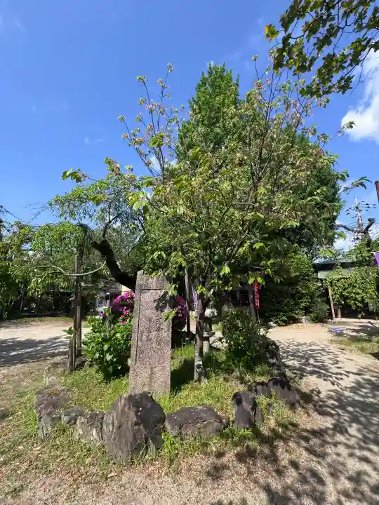 長建寺の{uncategorized: "未分類", other: "その他", undefined: "問題あり", building: "その他建物", grave: "お墓", sacred_gate: "鳥居", guardian: "狛犬", statue: "像", buddha: "仏像", history: "歴史", nature: "自然", garden: "庭園", animal: "動物", pagoda: "塔", temizu: "手水舎", mountain_gate: "山門・神門", sanctuary: "本殿・本堂", subordinate: "末社・摂社", art: "芸術", scenery: "景色", jizo: "地蔵", ema: "絵馬", goshuin: "御朱印", omikuji: "おみくじ", items: "授与品その他", amulet: "お守り", goshuincho: "御朱印帳", eats: "食事", festival: "お祭り", votive_dance: "神楽", shichigosan: "七五三参", wedding: "結婚式", experience: "体験その他", initially: "初詣", around: "周辺", anti_infection: "感染症対策"}