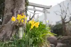 横浜御嶽神社の自然