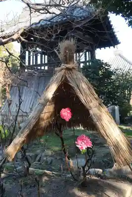 石光寺(奈良県)