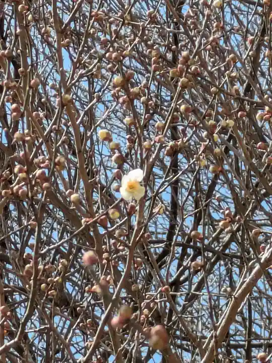 石内のお大師さん 金剛院(広島県)