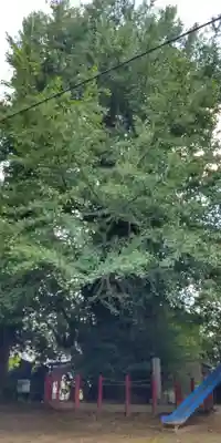 八幡神社(埼玉県)