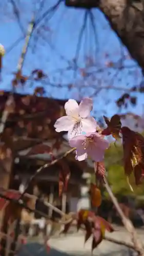 相馬神社の自然