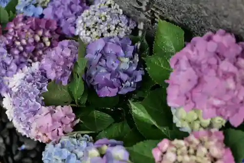 高司神社〜むすびの神の鎮まる社〜(福島県)