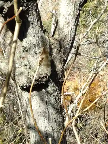 明月院(神奈川県)