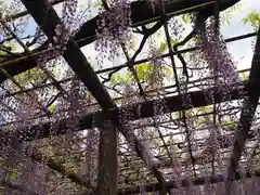 日吉神社(東京都)