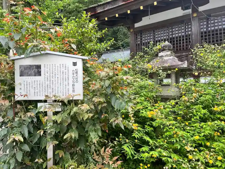 松尾大社(京都府)