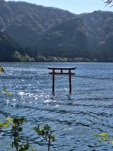 九頭龍神社本宮の{uncategorized: "未分類", other: "その他", undefined: "問題あり", building: "その他建物", grave: "お墓", sacred_gate: "鳥居", guardian: "狛犬", statue: "像", buddha: "仏像", history: "歴史", nature: "自然", garden: "庭園", animal: "動物", pagoda: "塔", temizu: "手水舎", mountain_gate: "山門・神門", sanctuary: "本殿・本堂", subordinate: "末社・摂社", art: "芸術", scenery: "景色", jizo: "地蔵", ema: "絵馬", goshuin: "御朱印", omikuji: "おみくじ", items: "授与品その他", amulet: "お守り", goshuincho: "御朱印帳", eats: "食事", festival: "お祭り", votive_dance: "神楽", shichigosan: "七五三参", wedding: "結婚式", experience: "体験その他", initially: "初詣", around: "周辺", anti_infection: "感染症対策"}