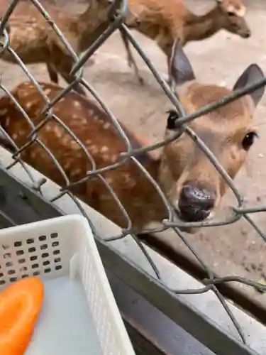鹿島神宮(茨城県)