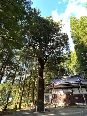 米子神社(長野県)