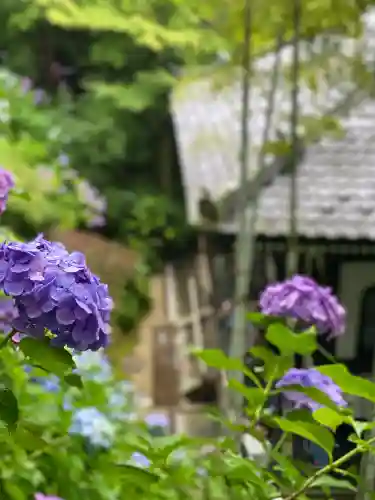 長谷寺(神奈川県)