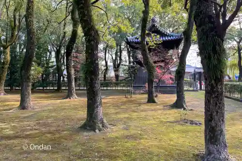 聖福寺(福岡県)
