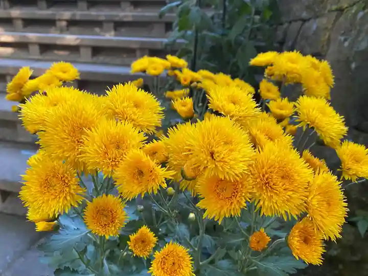 彦嶽宮(熊本県)