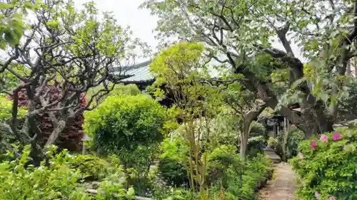 収玄寺(神奈川県)