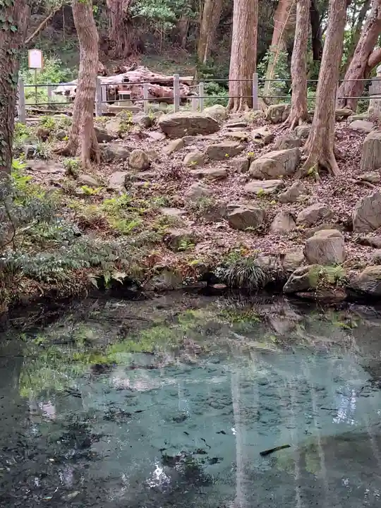 泉神社(茨城県)