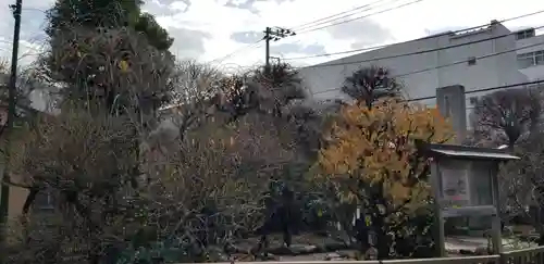 小村井 香取神社の庭園