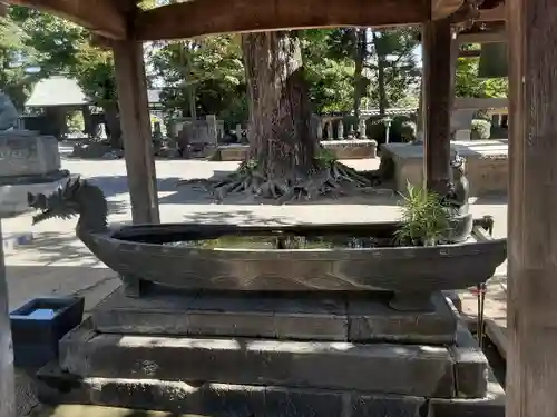 勝福寺(神奈川県)