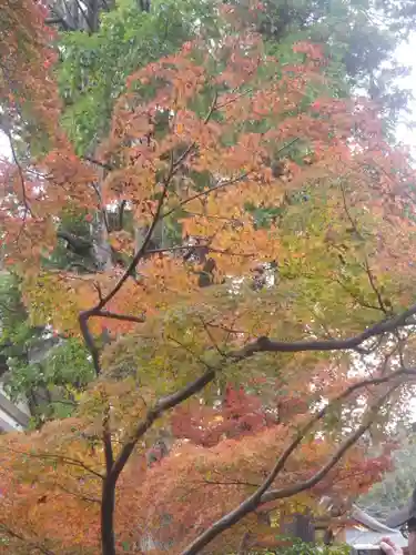 鶴岡八幡宮の庭園