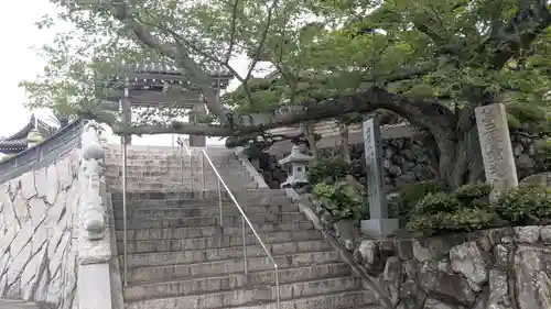 観音寺(香川県)