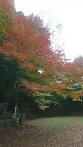 諏訪神社(鳥取県)