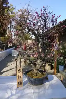 菅原天満宮（菅原神社）のその他建物
