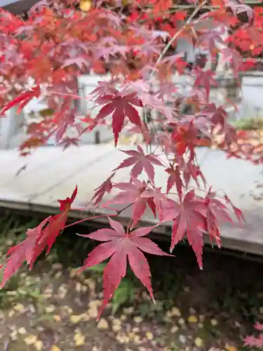 乃木神社(東京都)