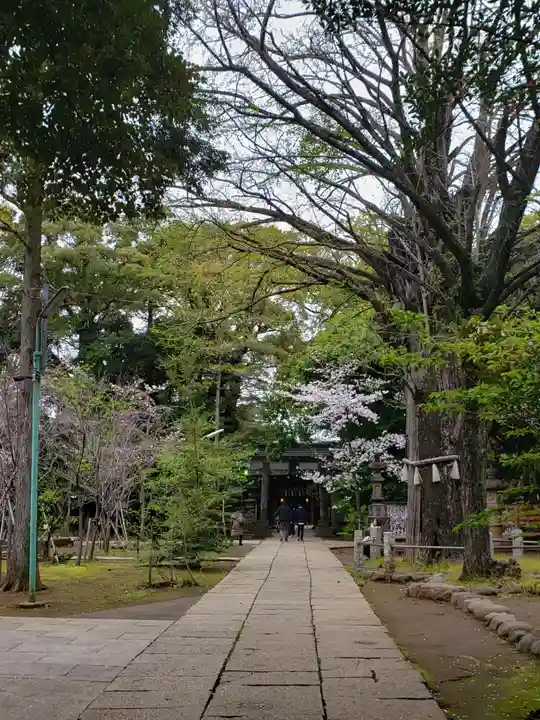 赤坂氷川神社(東京都)