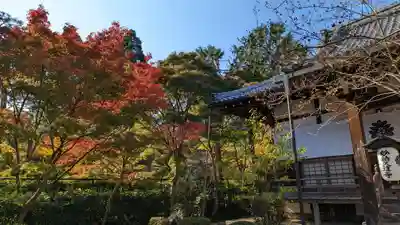 妙祐久遠寺(京都府)