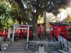 乃木神社の鳥居