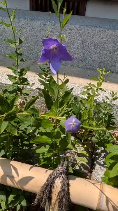 晴明神社(京都府)